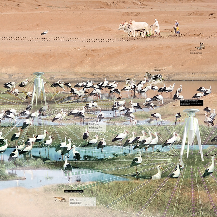 http://www.yufeili.com/files/gimgs/th-6_wing_4desert.jpg